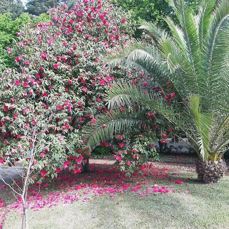 مبيت وإفطار غيمارايش Casa Da Espinhosa المظهر الخارجي الصورة