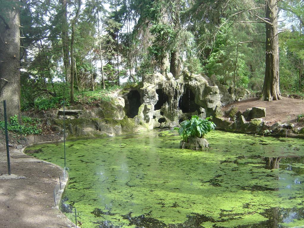 مبيت وإفطار غيمارايش Casa Da Espinhosa المظهر الخارجي الصورة